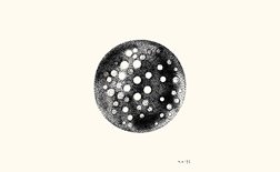 Infinite Universe at Dawn