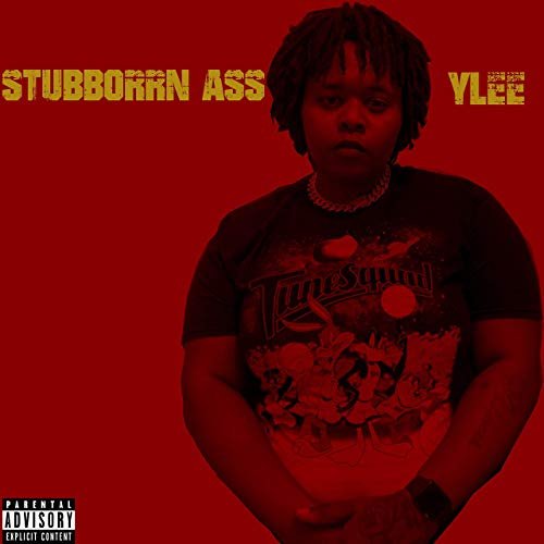 Stubborrn Ass